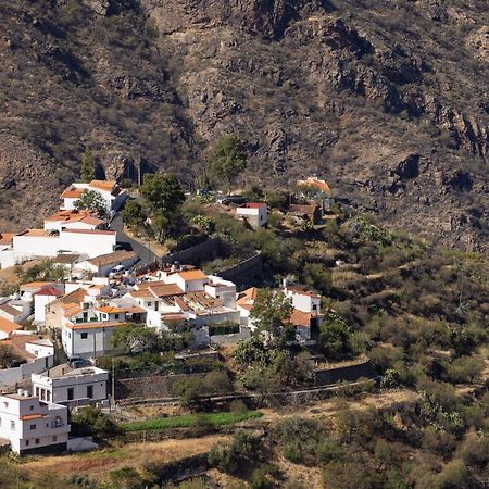 Casa Isabela With Roque Nublo View Apartment เตเฮดา ภายนอก รูปภาพ