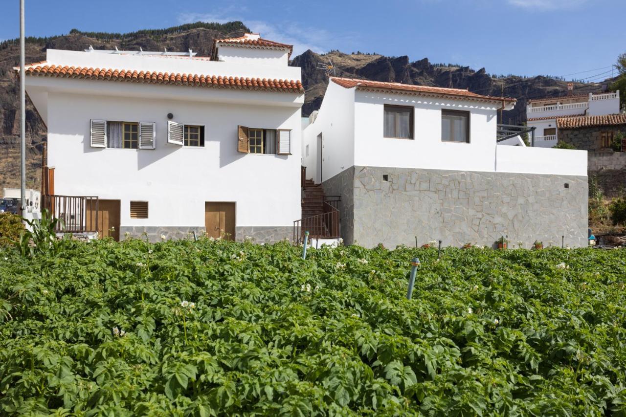 Casa Isabela With Roque Nublo View Apartment เตเฮดา ภายนอก รูปภาพ
