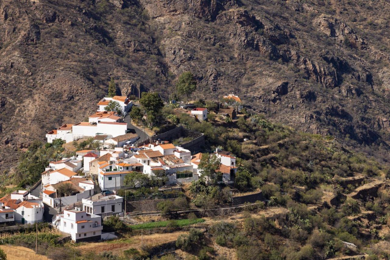 Casa Isabela With Roque Nublo View Apartment เตเฮดา ภายนอก รูปภาพ