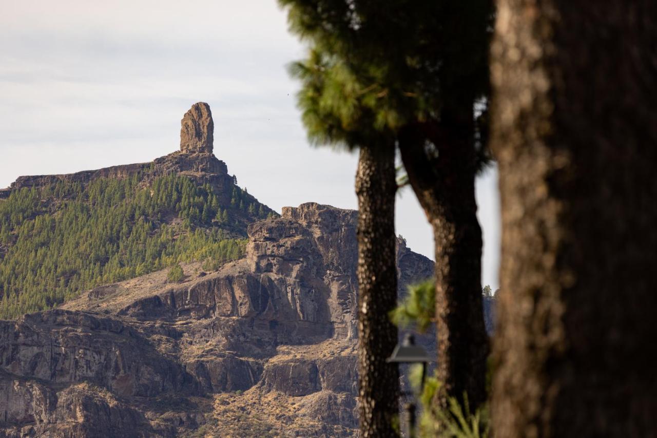Casa Isabela With Roque Nublo View Apartment เตเฮดา ภายนอก รูปภาพ